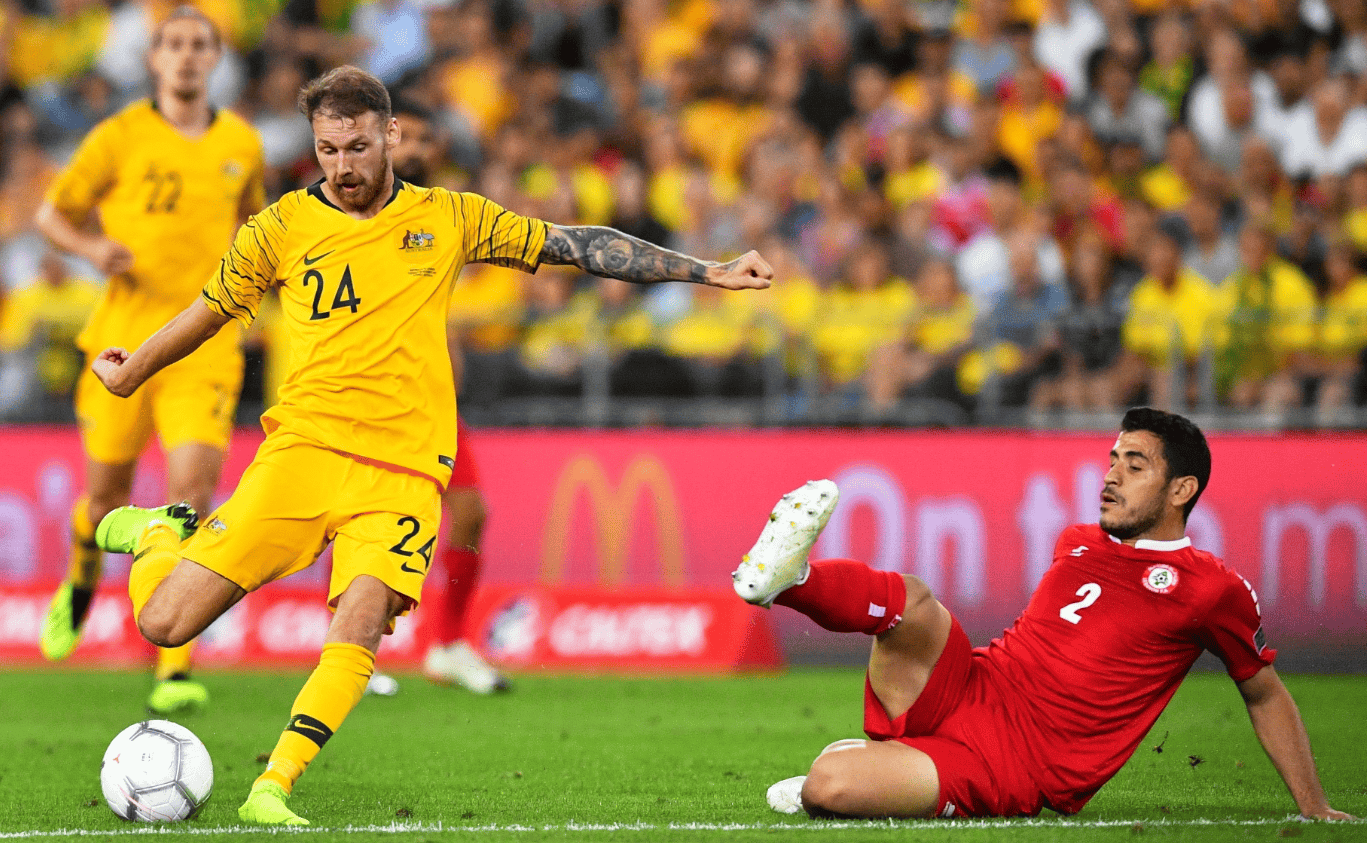 的领导下 的领导下