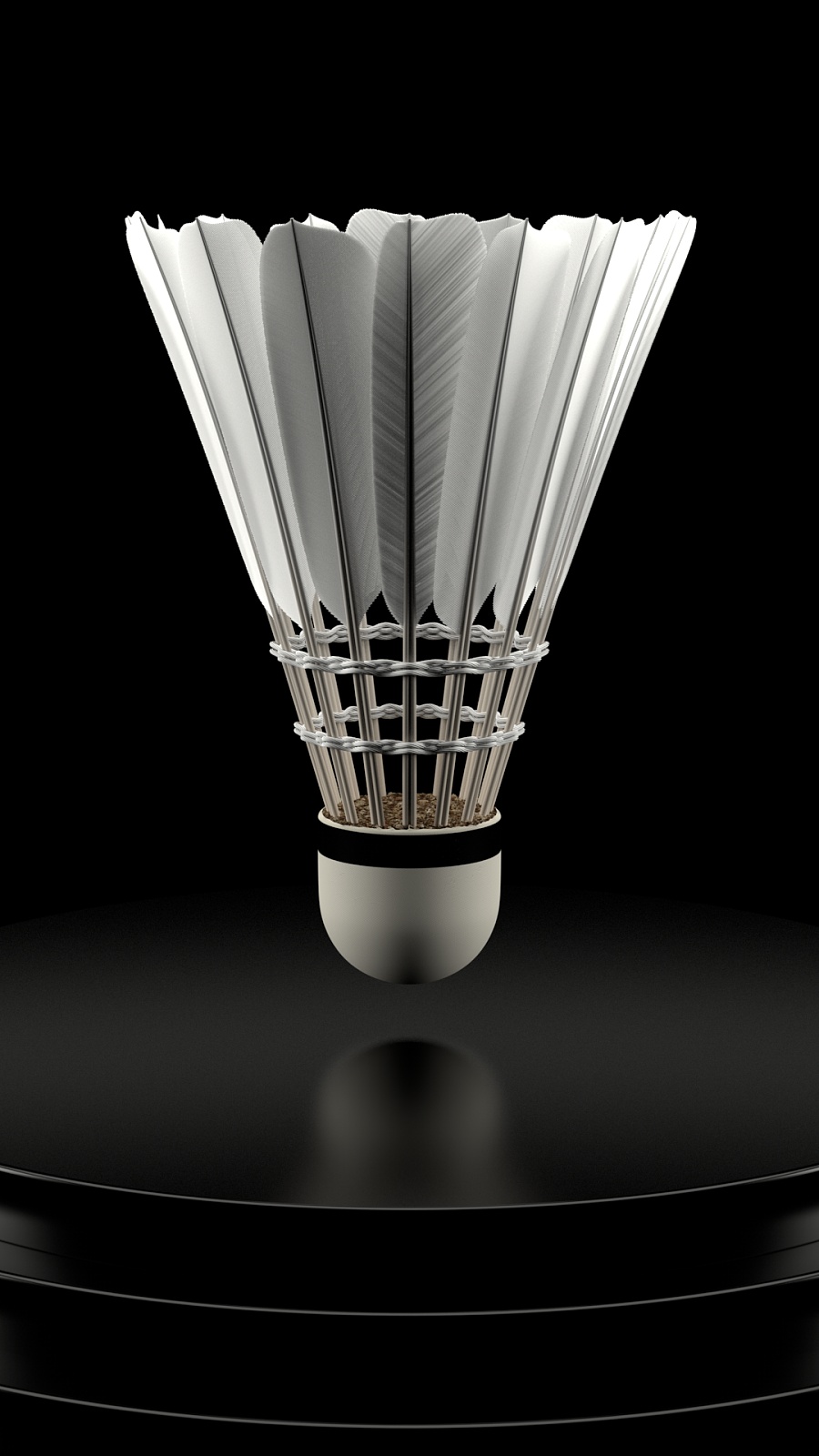 纳斯对球员 纳斯对球员