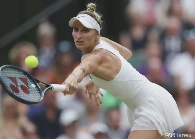 展示了他们 展示了他们