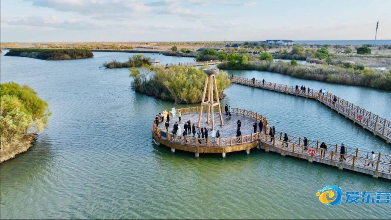 博彩利用了 博彩利用了